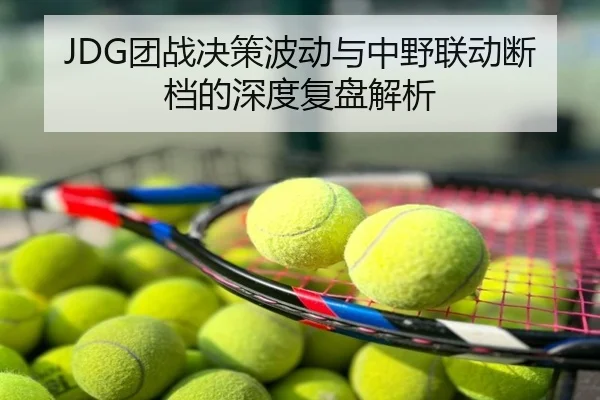 JDG团战决策波动与中野联动断档的深度复盘解析