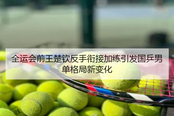 全运会前王楚钦反手衔接加练引发国乒男单格局新变化