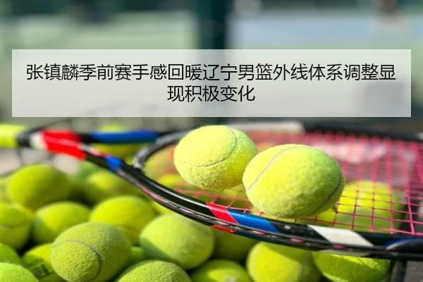 张镇麟季前赛手感回暖辽宁男篮外线体系调整显现积极变化