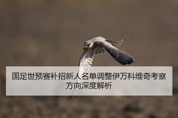 国足世预赛补招新人名单调整伊万科维奇考察方向深度解析